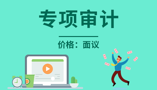 專項審計