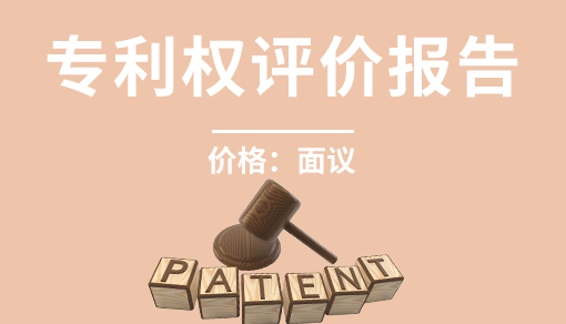 專利權(quán)評價報(bào)告