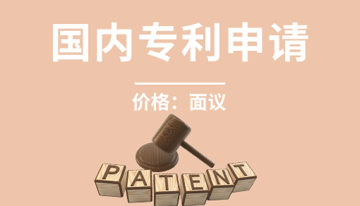 國內(nèi)專利申請