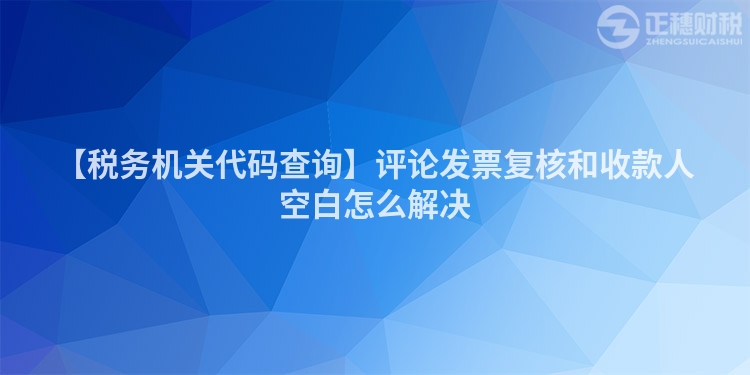 【稅務機關代碼查詢】評論發票復核和收款人空白怎么解決