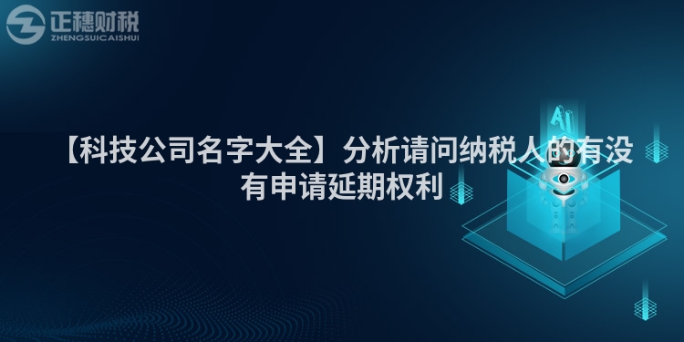 【科技公司名字大全】分析請問納稅人的有沒有申請延期權(quán)利