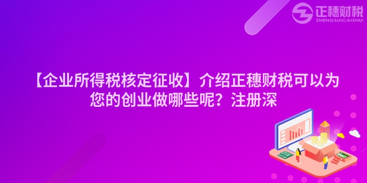 【企業(yè)所得稅核定征收】介紹正穗財(cái)稅可以為您的創(chuàng)業(yè)做哪些呢？注冊(cè)深