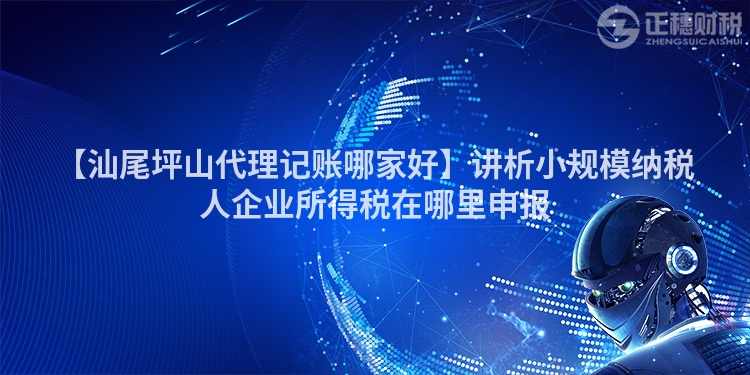 【汕尾坪山代理記賬哪家好】講析小規模納稅人企業所得稅在哪里申報