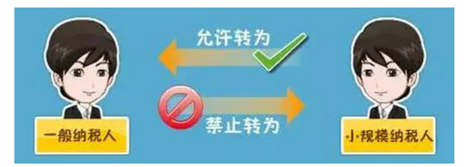 2023年一般納稅人和小規模納稅人的區別及政策法規