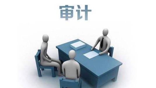 2023年財(cái)務(wù)審計(jì)