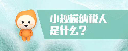2023年小規模納稅人