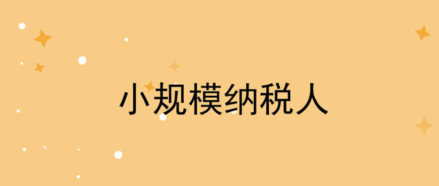 小規模納稅人,小規模納稅人和一般納稅人的區別
