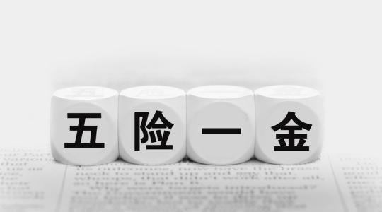 2023年正穗財稅代繳社保多少錢