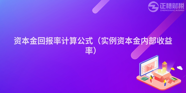 資本金回報率計算公式（實例資本金內部收益率）