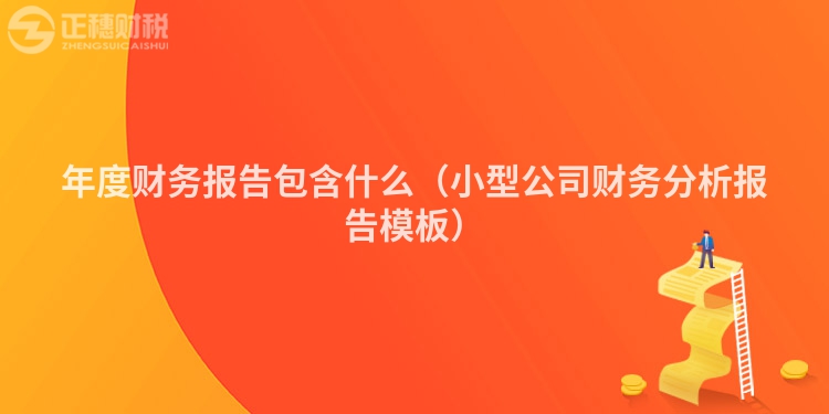 年度財(cái)務(wù)報(bào)告包含什么（小型公司財(cái)務(wù)分析報(bào)告模板）
