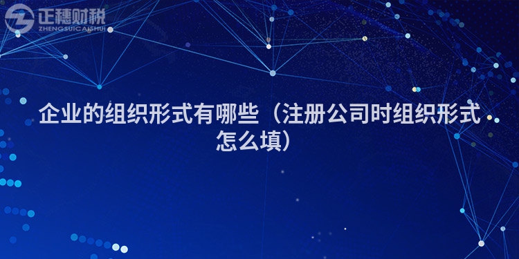 企業(yè)的組織形式有哪些（注冊公司時組織形式怎么填）