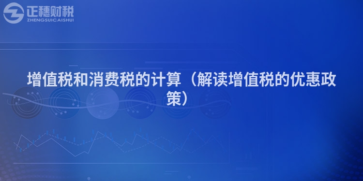 增值稅和消費稅的計算（解讀增值稅的優惠政策）