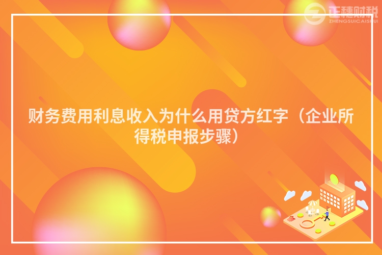 財務費用利息收入為什么用貸方紅字（企業所得稅申報步驟）