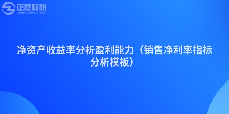 凈資產收益率分析盈利能力（銷售凈利率指標分析模板）