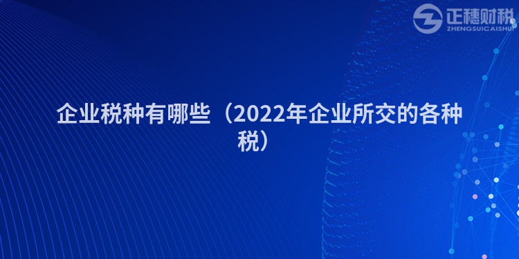 企業稅種有哪些（2022年企業所交的各種稅）