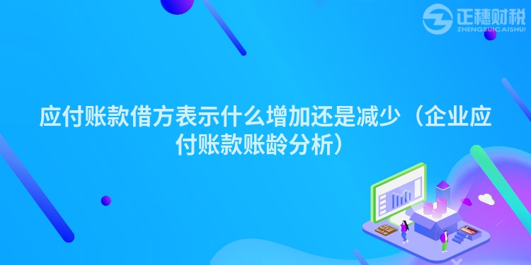 應付賬款借方表示什么增加還是減少（企業應付賬款賬齡分析）