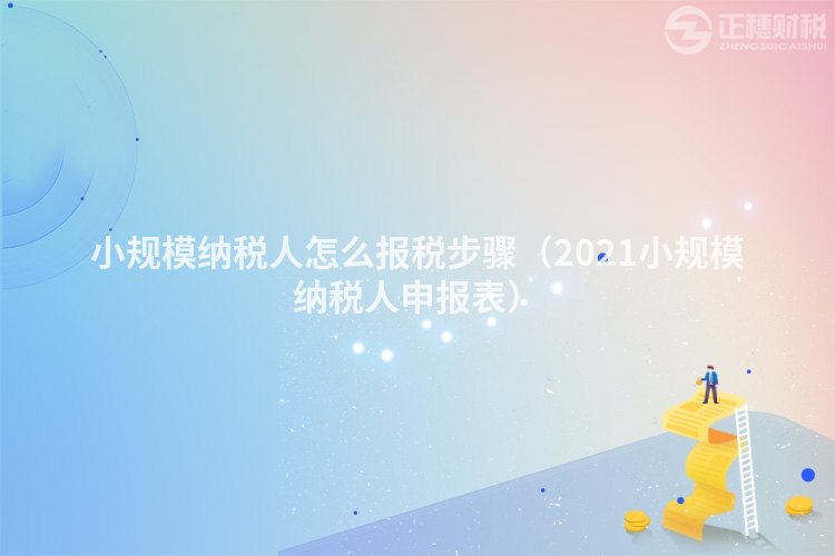 小規(guī)模納稅人怎么報稅步驟（2023小規(guī)模納稅人申報表）