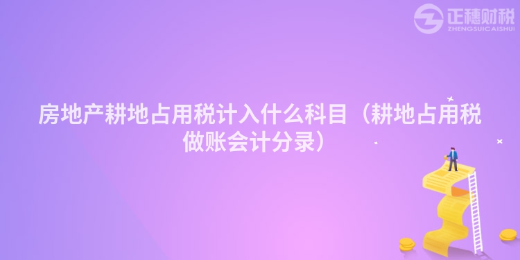 房地產耕地占用稅計入什么科目（耕地占用稅做賬會計分錄）