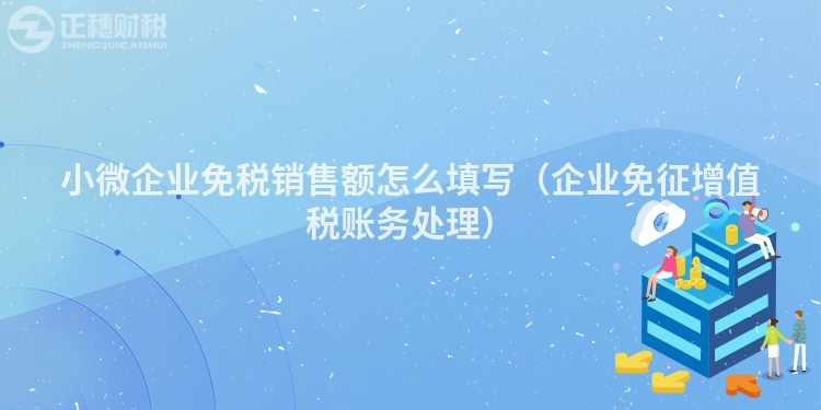 小微企業免稅銷售額怎么填寫（企業免征增值稅賬務處理）