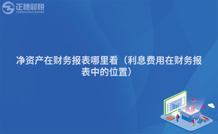 凈資產在財務報表哪里看（利息費用在財務報表中的位置）