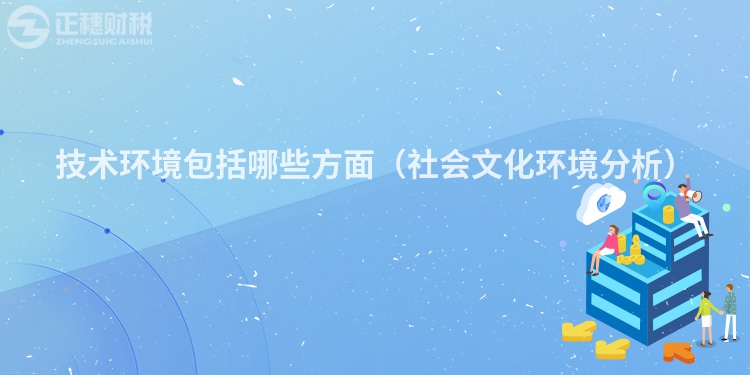 技術(shù)環(huán)境包括哪些方面（社會文化環(huán)境分析）