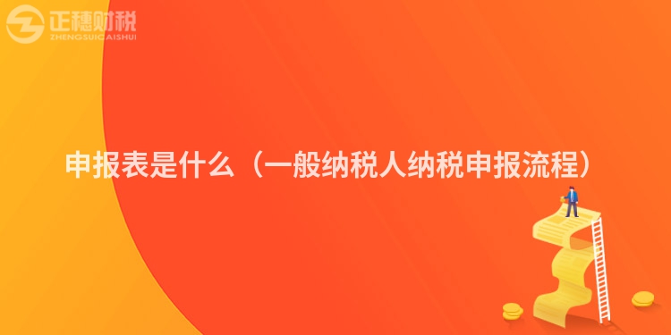申報表是什么（一般納稅人納稅申報流程）
