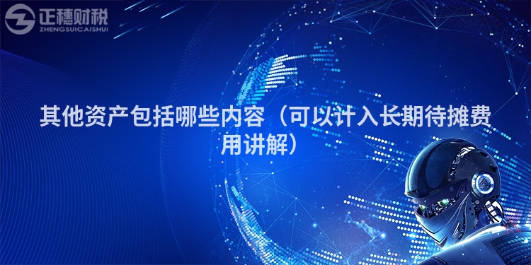 其他資產包括哪些內容（可以計入長期待攤費用講解）