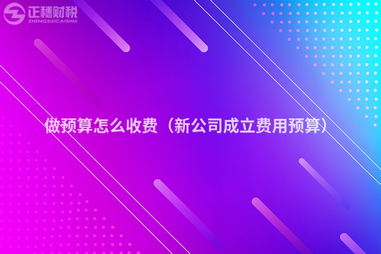 做預算怎么收費（新公司成立費用預算）