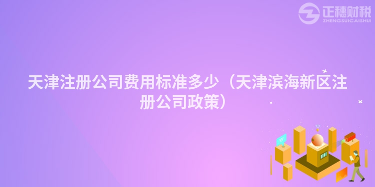 天津注冊公司費用標準多少（天津濱海新區注冊公司政策）