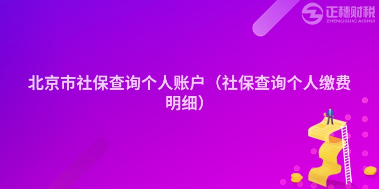 北京市社保查詢個人賬戶（社保查詢個人繳費明細）