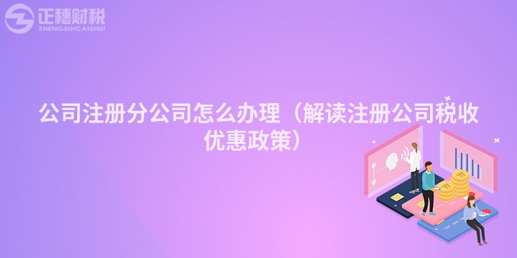 公司注冊分公司怎么辦理（解讀注冊公司稅收優惠政策）