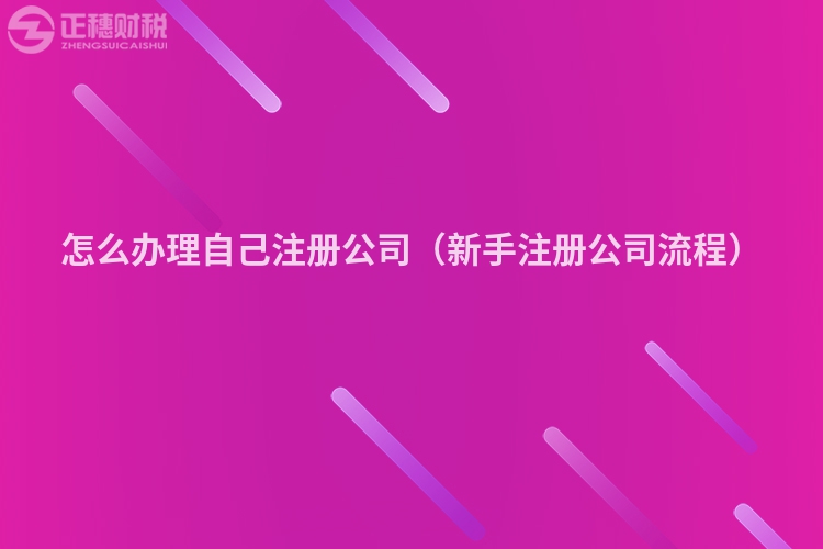 怎么辦理自己注冊公司（新手注冊公司流程）
